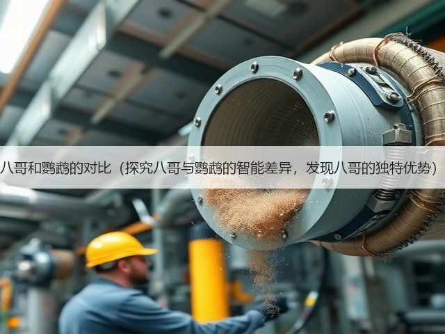 八哥和鹦鹉的对比(探究八哥与鹦鹉的智能差异,发现八哥的独特优势)(图3) 八哥和鹦鹉的对比(探究八哥与鹦鹉的智能差异,发现八哥的独特优势)(图3)