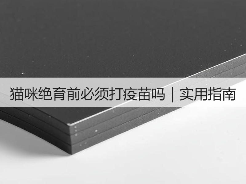 猫咪绝育前必须打疫苗吗｜实用指南