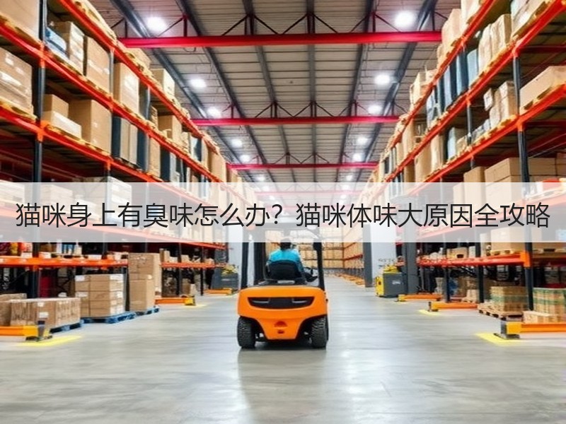 猫咪身上有臭味怎么办？猫咪体味大原因全攻略
