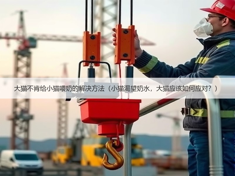 大猫不肯给小猫喂奶的解决方法（小猫渴望奶水，大猫应该如何应对？）