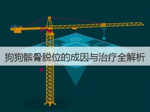 狗狗髌骨脱位的成因与治疗全解析(图3) 狗狗髌骨脱位的成因与治疗全解析(图3)
