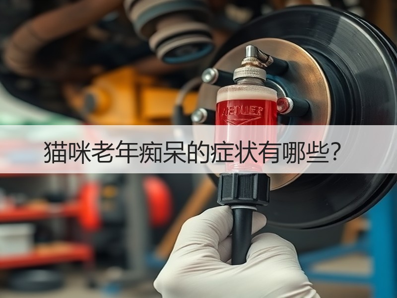 猫咪老年痴呆的症状有哪些？