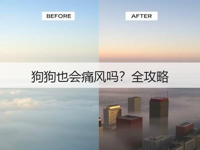 狗狗也会痛风吗?全攻略(图3) 狗狗也会痛风吗?全攻略(图3)