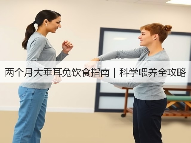 两个月大垂耳兔饮食指南|科学喂养全攻略(图3) 两个月大垂耳兔饮食指南|科学喂养全攻略(图3)