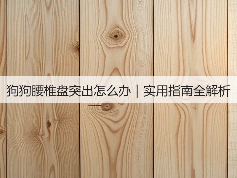 狗狗腰椎盘突出怎么办｜实用指南全解析