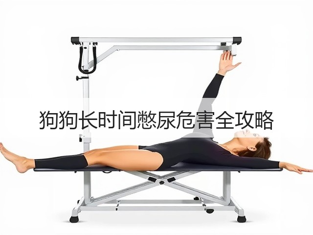 狗狗长时间憋尿危害全攻略(图3) 狗狗长时间憋尿危害全攻略(图3)
