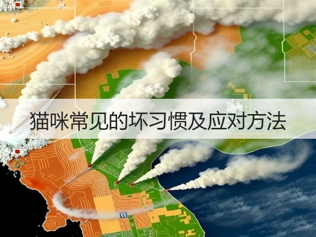 猫咪常见的坏习惯及应对方法(图1) 猫咪常见的坏习惯及应对方法(图1)