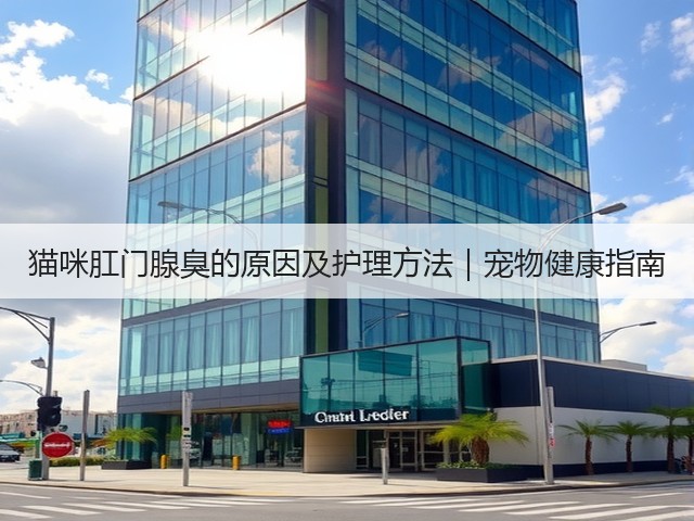 猫咪肛门腺臭的原因及护理方法｜宠物健康指南(图3)