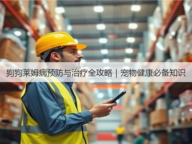 狗狗莱姆病预防与治疗全攻略｜宠物健康必备知识