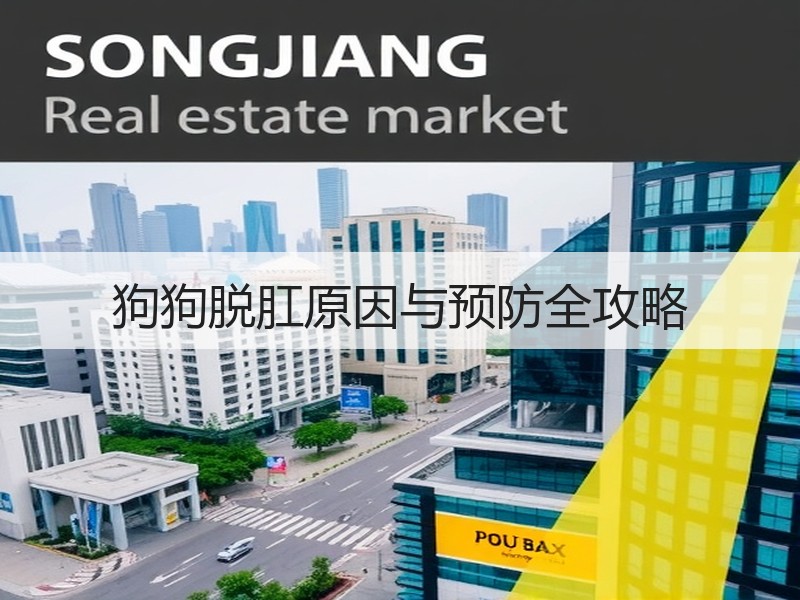 狗狗脱肛原因与预防全攻略
