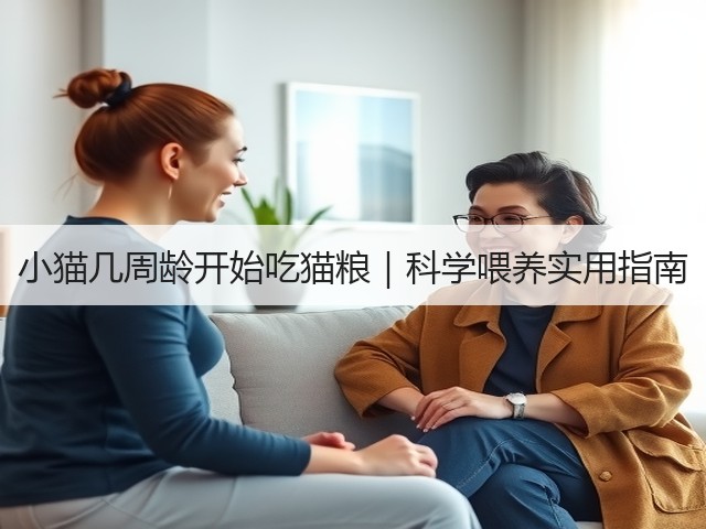 小猫几周龄开始吃猫粮｜科学喂养实用指南(图2)