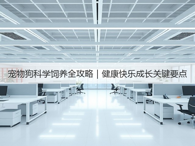 宠物狗科学饲养全攻略|健康快乐成长关键要点(图3) 宠物狗科学饲养全攻略|健康快乐成长关键要点(图3)