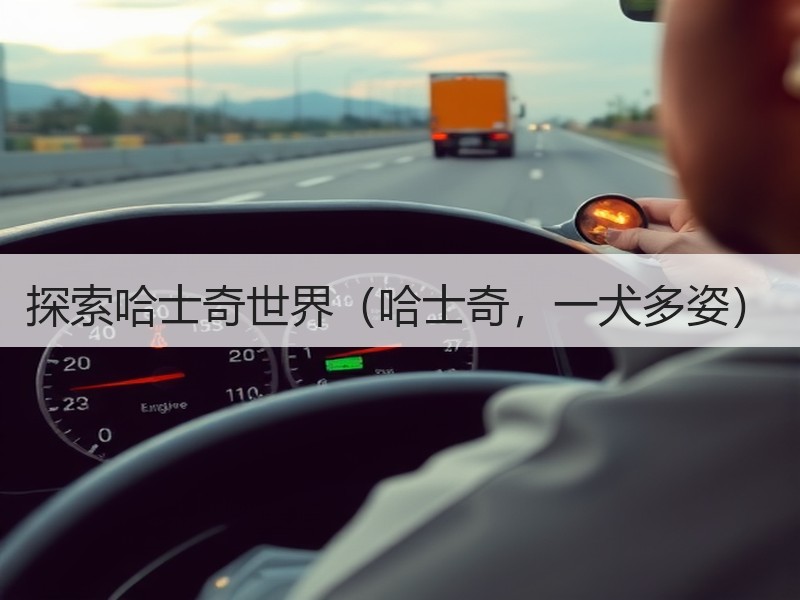 探索哈士奇世界（哈士奇，一犬多姿）