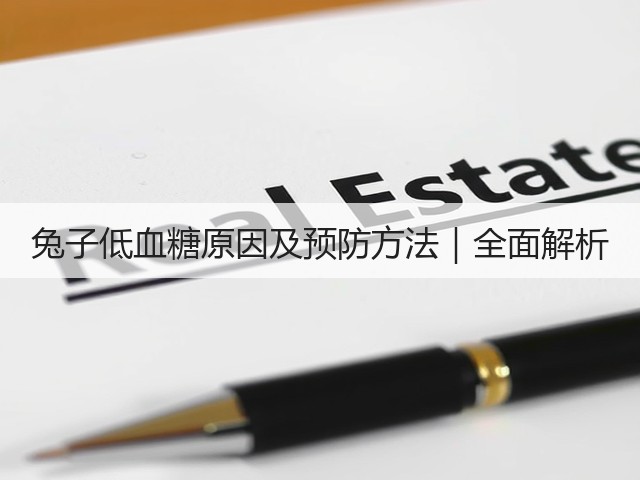 兔子低血糖原因及预防方法|全面解析(图1) 兔子低血糖原因及预防方法|全面解析(图1)