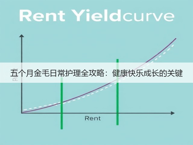 五个月金毛日常护理全攻略：健康快乐成长的关键(图2)