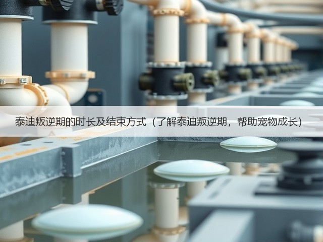 泰迪叛逆期的时长及结束方式(了解泰迪叛逆期,帮助宠物成长)(图3) 泰迪叛逆期的时长及结束方式(了解泰迪叛逆期,帮助宠物成长)(图3)