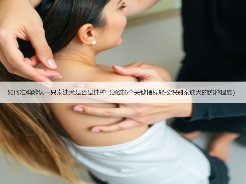 如何准确辨认一只泰迪犬是否是纯种（通过6个关键指标轻松识别泰迪犬的纯种程度）