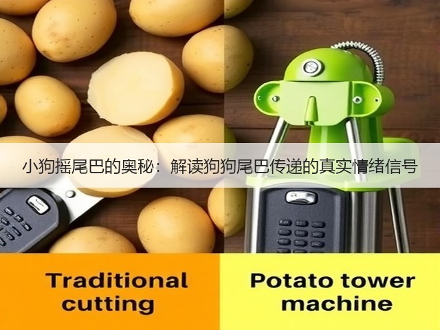 小狗摇尾巴的奥秘:解读狗狗尾巴传递的真实情绪信号(图3) 小狗摇尾巴的奥秘:解读狗狗尾巴传递的真实情绪信号(图3)
