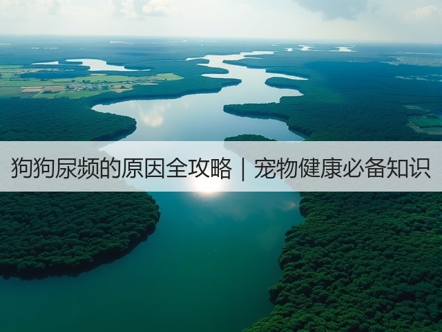 狗狗尿频的原因全攻略｜宠物健康必备知识(图3)