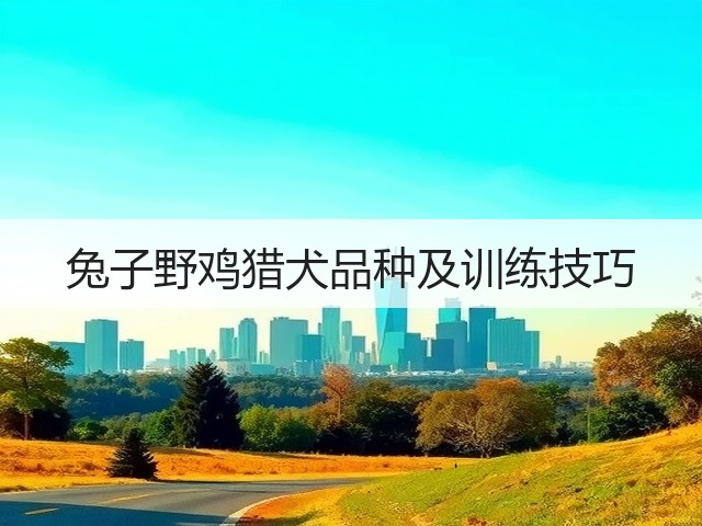 兔子野鸡猎犬品种及训练技巧(图3) 兔子野鸡猎犬品种及训练技巧(图3)