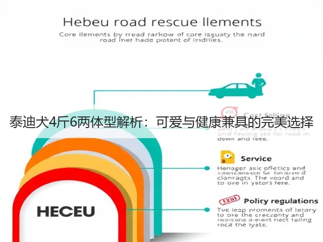 泰迪犬4斤6两体型解析:可爱与健康兼具的完美选择(图2) 泰迪犬4斤6两体型解析:可爱与健康兼具的完美选择(图2)
