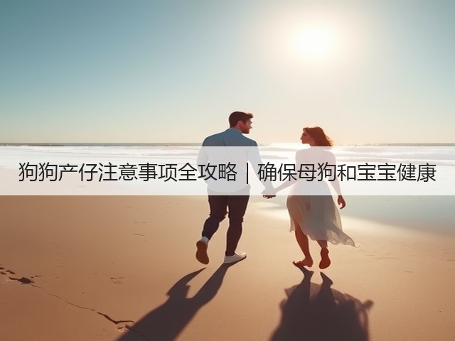 狗狗产仔注意事项全攻略|确保母狗和宝宝健康(图1) 狗狗产仔注意事项全攻略|确保母狗和宝宝健康(图1)