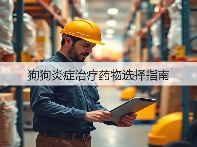 狗狗炎症治疗药物选择指南