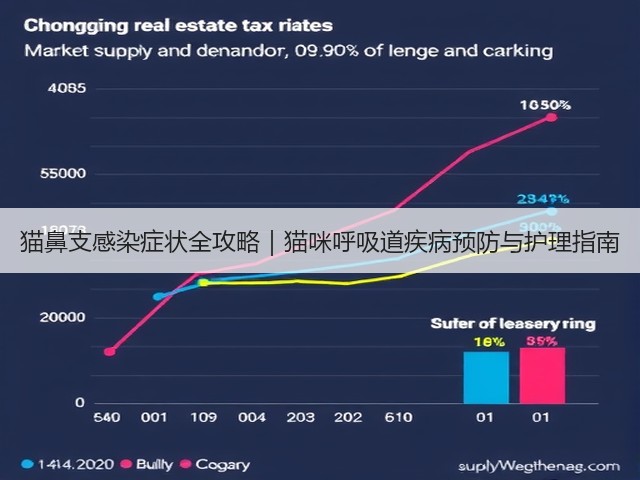 猫鼻支感染症状全攻略|猫咪呼吸道疾病预防与护理指南(图3) 猫鼻支感染症状全攻略|猫咪呼吸道疾病预防与护理指南(图3)