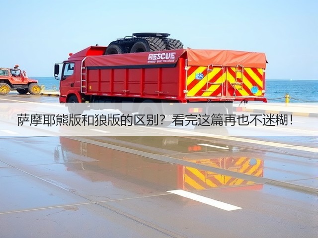 萨摩耶熊版和狼版的区别?看完这篇再也不迷糊!(图2) 萨摩耶熊版和狼版的区别?看完这篇再也不迷糊!(图2)