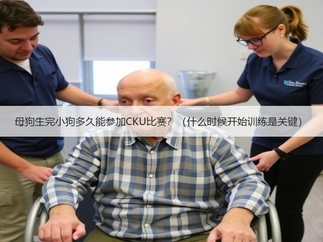 母狗生完小狗多久能参加CKU比赛?(什么时候开始训练是关键)(图3) 母狗生完小狗多久能参加CKU比赛?(什么时候开始训练是关键)(图3)