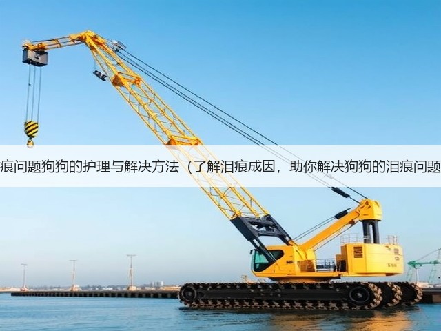 泪痕问题狗狗的护理与解决方法(了解泪痕成因,助你解决狗狗的泪痕问题)(图3) 泪痕问题狗狗的护理与解决方法(了解泪痕成因,助你解决狗狗的泪痕问题)(图3)