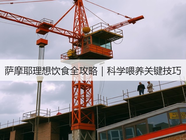 萨摩耶理想饮食全攻略|科学喂养关键技巧(图1) 萨摩耶理想饮食全攻略|科学喂养关键技巧(图1)