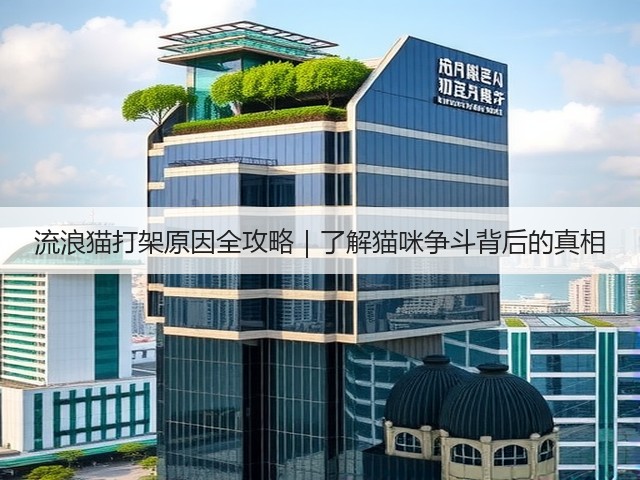 流浪猫打架原因全攻略｜了解猫咪争斗背后的真相(图3)