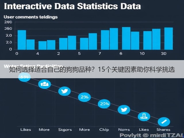如何选择适合自己的狗狗品种?15个关键因素助你科学挑选(图2) 如何选择适合自己的狗狗品种?15个关键因素助你科学挑选(图2)