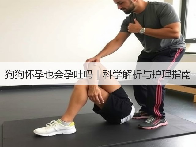 狗狗怀孕也会孕吐吗|科学解析与护理指南(图1) 狗狗怀孕也会孕吐吗|科学解析与护理指南(图1)