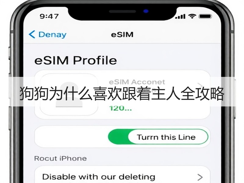狗狗为什么喜欢跟着主人全攻略