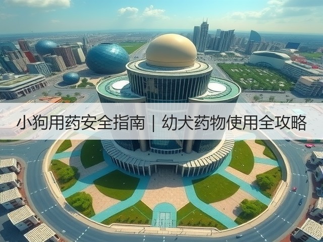 小狗用药安全指南|幼犬药物使用全攻略(图3) 小狗用药安全指南|幼犬药物使用全攻略(图3)
