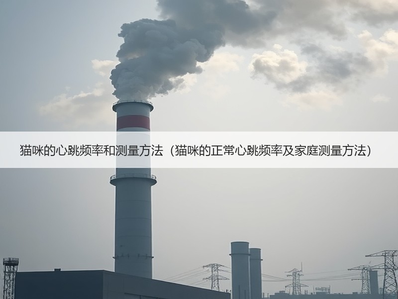 猫咪的心跳频率和测量方法（猫咪的正常心跳频率及家庭测量方法）