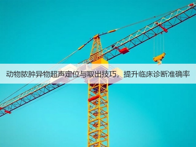 动物脓肿异物超声定位与取出技巧,提升临床诊断准确率(图2) 动物脓肿异物超声定位与取出技巧,提升临床诊断准确率(图2)