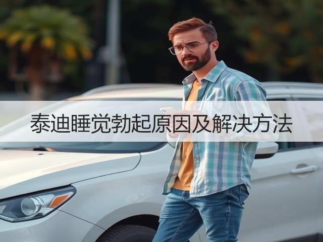 泰迪睡觉勃起原因及解决方法(图1)