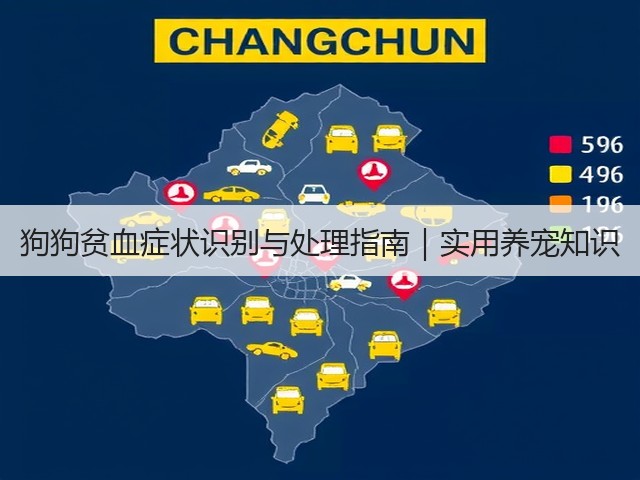 狗狗贫血症状识别与处理指南|实用养宠知识(图1) 狗狗贫血症状识别与处理指南|实用养宠知识(图1)