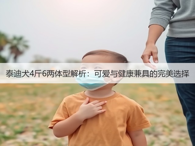 泰迪犬4斤6两体型解析:可爱与健康兼具的完美选择(图3) 泰迪犬4斤6两体型解析:可爱与健康兼具的完美选择(图3)