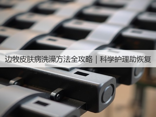 边牧皮肤病洗澡方法全攻略|科学护理助恢复(图3) 边牧皮肤病洗澡方法全攻略|科学护理助恢复(图3)