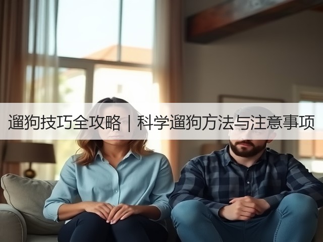 遛狗技巧全攻略|科学遛狗方法与注意事项(图3) 遛狗技巧全攻略|科学遛狗方法与注意事项(图3)