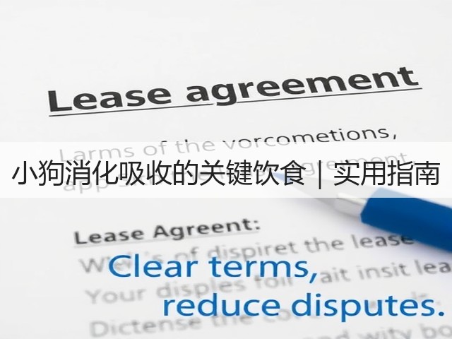小狗消化吸收的关键饮食|实用指南(图2) 小狗消化吸收的关键饮食|实用指南(图2)