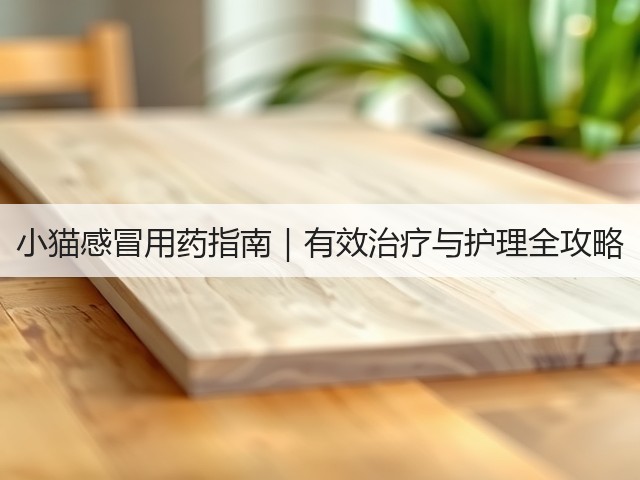 小猫感冒用药指南|有效治疗与护理全攻略(图2) 小猫感冒用药指南|有效治疗与护理全攻略(图2)