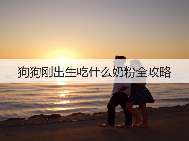 狗狗刚出生吃什么奶粉全攻略(图1) 狗狗刚出生吃什么奶粉全攻略(图1)