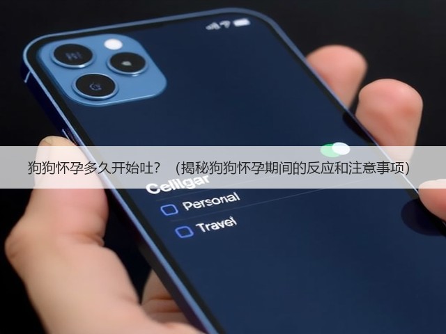 狗狗怀孕多久开始吐？（揭秘狗狗怀孕期间的反应和注意事项）(图3)