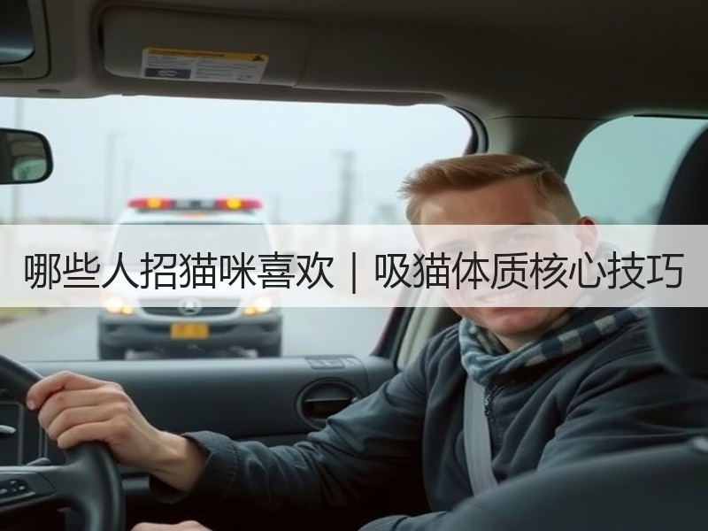 哪些人招猫咪喜欢｜吸猫体质核心技巧