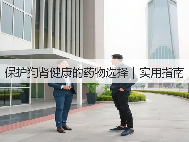 保护狗肾健康的药物选择|实用指南(图2) 保护狗肾健康的药物选择|实用指南(图2)